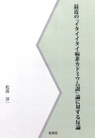 イタイイタイ病の社会経済学　水俣病と比較して