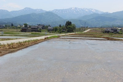 砺波野